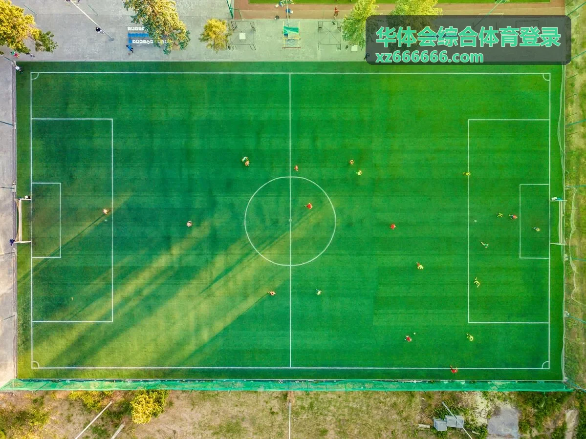 华体会综合体育登录账号找回与密码重置示意