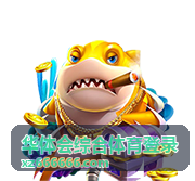 华体会综合体育登录赛事栏目分区导航示意